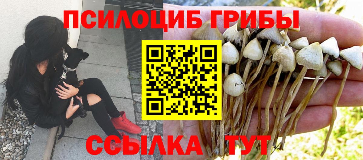 Галлюциногенные грибы ЛСД Шадринск