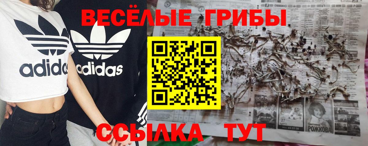 Шадринск  Псилоцибиновые грибы Psilocybine cubensis  Вход с VPN  Псилоцибиновые грибы ЛСД 